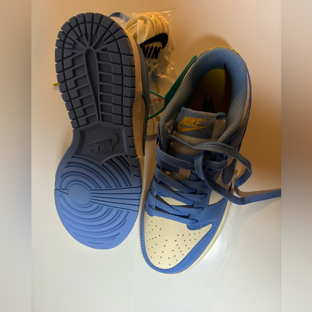 Blue Nike dunks